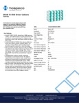 CALICABANA-GRN.pdf