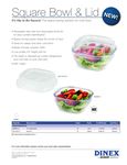 Dinex_310DX1181