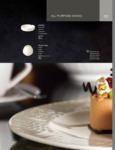 RAK Ashtray and Flower Vase Specs
