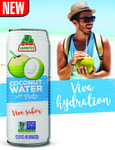 Jarritos Coconut Water Sales Sheet 2021