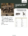 LT&S Alloy Series 164A3263CPR Specsheet