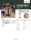 LT&S Excalibur 42724RDYO22D Specsheet