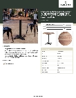 LT&S Excalibur 42732RDYO22D Specsheet