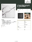 LT&S Excalibur 427SM2424VE Specsheet