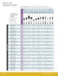 World Tableware 18/0 Medium Weight Specs