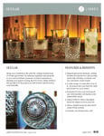 Ocular Sell Sheet