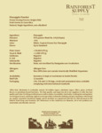 Pineapple Powder Specifications