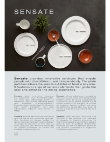 Rak Sensate SPEC.pdf