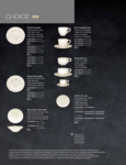RAK Porcelain Choice