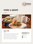 Splash Brochure