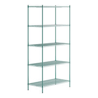 Regency 24" x 48" NSF Green Epoxy 5-Shelf Kit with 96" Posts