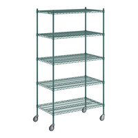 Regency 24" x 42" x 80" NSF Green Epoxy Mobile Wire Shelving Starter Kit with 5 Shelves