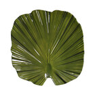 Elite Global Solutions Tropicana