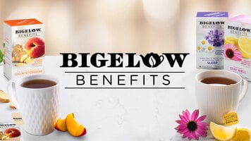 Bigelow Tea Benefits Bigelow Tea Benefits