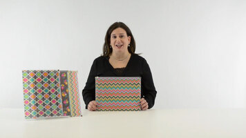 C-Line Products Bold Basics Zip N Go Reusable Poly Envelope C-Line Products Bold Basics Zip N Go Reusable Poly Envelope