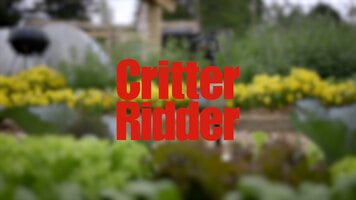 Safer: Critter Ridder Motion-Activated Sprinkler Safer: Critter Ridder Motion-Activated Sprinkler
