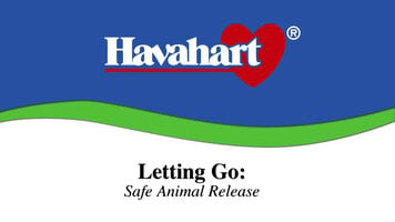 Setting a trapped animal free Setting a trapped animal free