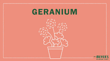 Mrs. Meyer's Garden-Inspired Scents: Geranium Mrs. Meyer's Garden-Inspired Scents: Geranium